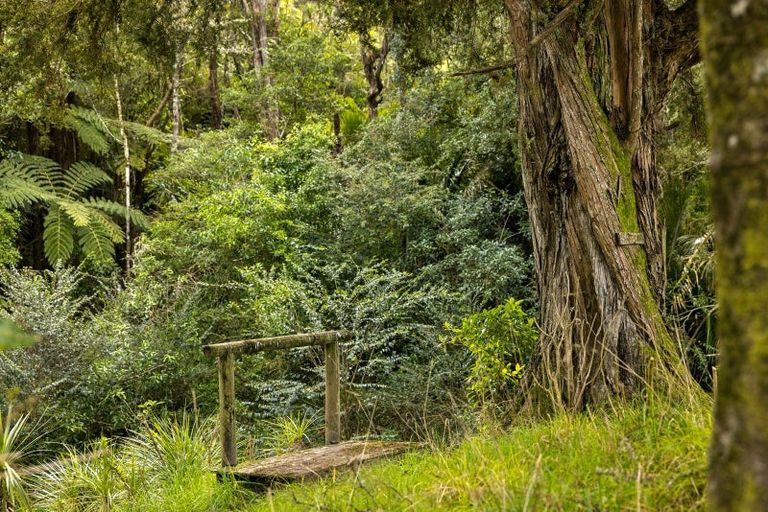 Photo of property in 263 Sunnyside Road, Coatesville, 0793