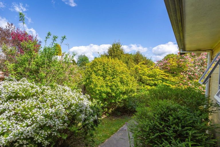 Photo of property in 30 Stout Street, Masterton, 5810