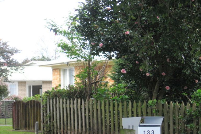 Photo of property in 129 Otumoetai Road, Brookfield, Tauranga, 3110