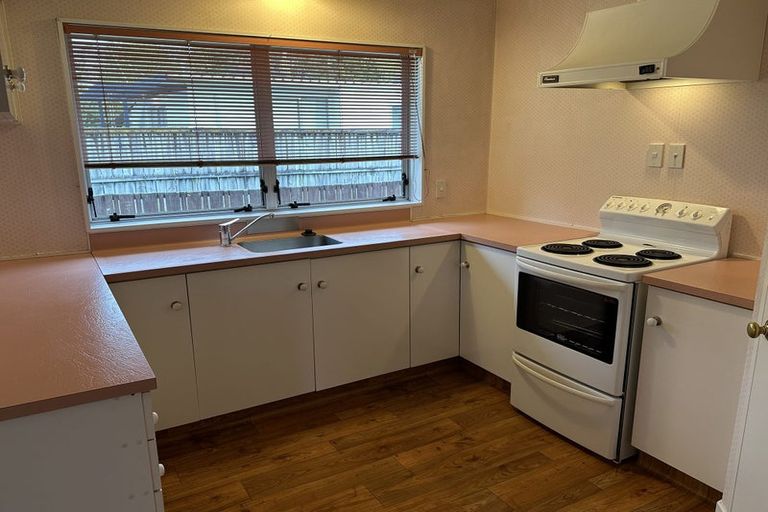 Photo of property in 98 Naylor Street, Hamilton East, Hamilton, 3216