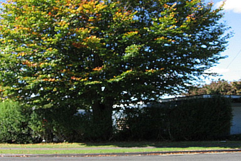 Photo of property in 5 Norrie Place, Putaruru, 3411