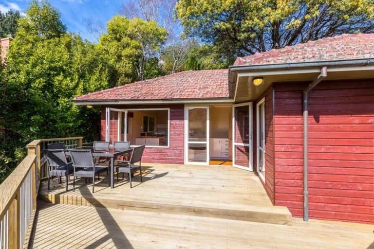 Photo of property in 197 Signal Hill Road, Opoho, Dunedin, 9010