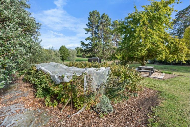 Photo of property in 738 Omihi Road, Waipara, 7483