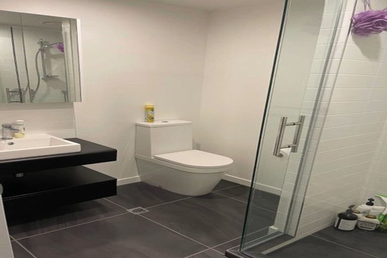 Photo of property in Pinnacle Apartments, E301/160 Victoria Street, Te Aro, Wellington, 6011