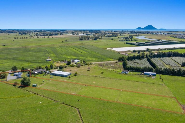 Photo of property in 99 Selwyn Road, Poroporo, Whakatane, 3193