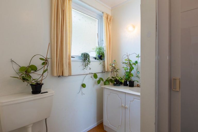 Photo of property in 116 Alexander Road, Raumati Beach, Paraparaumu, 5032