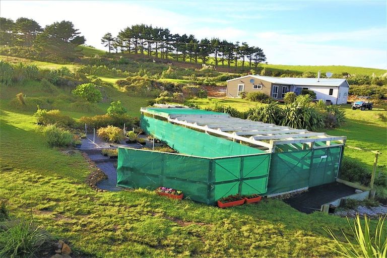 Photo of property in 1246 Babylon Coast Road, Omamari, Dargaville, 0373