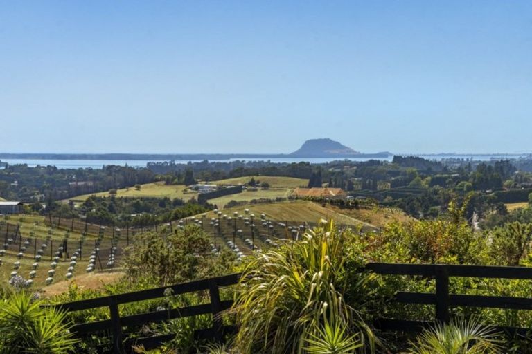 Photo of property in 286 Youngson Road, Whakamarama, Tauranga, 3179