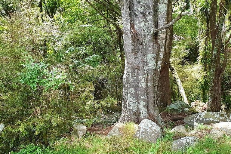 Photo of property in 1197 Horeke Road, Horeke, Okaihau, 0475