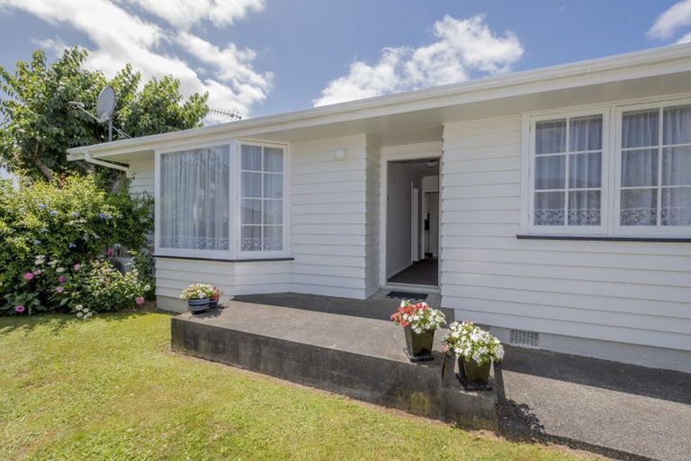 Photo of property in 21 Burn Street, Levin, 5510