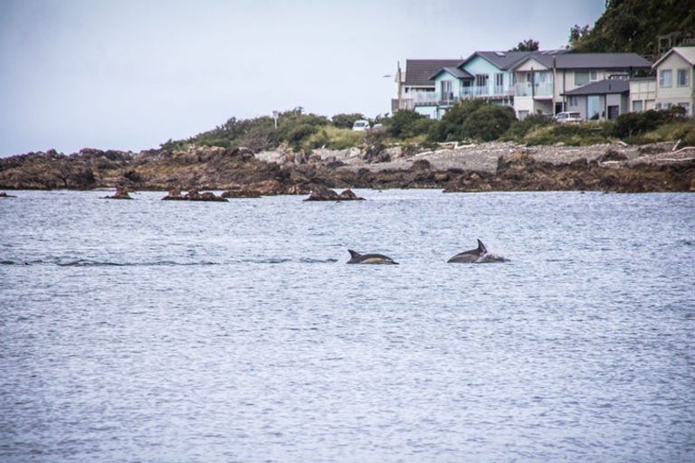 Photo of property in 6 Owhiro Bay Parade, Island Bay, Wellington, 6023