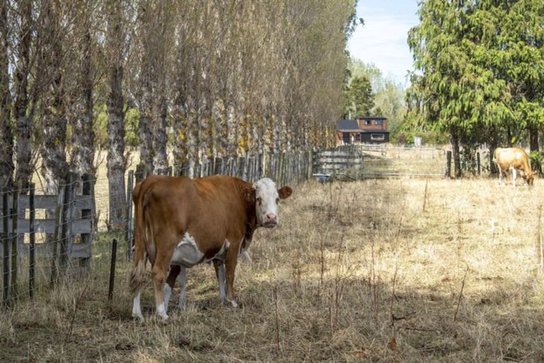 Photo of property in 83 Boundary Road, Upper Plain, Masterton, 5888