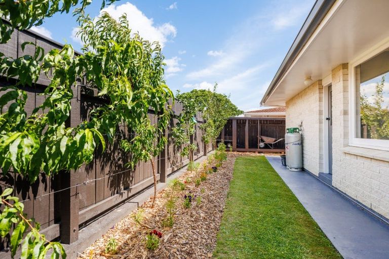 Photo of property in 409 Ruahine Street, Terrace End, Palmerston North, 4410