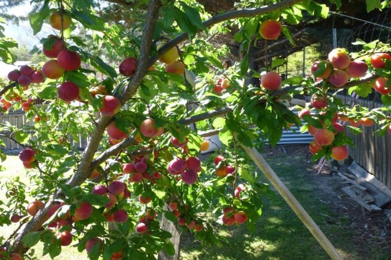 Photo of property in 16 Black Peak Road, Omarama, 9412