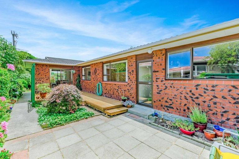 Photo of property in 50 Rimu Street, Waikanae, 5036