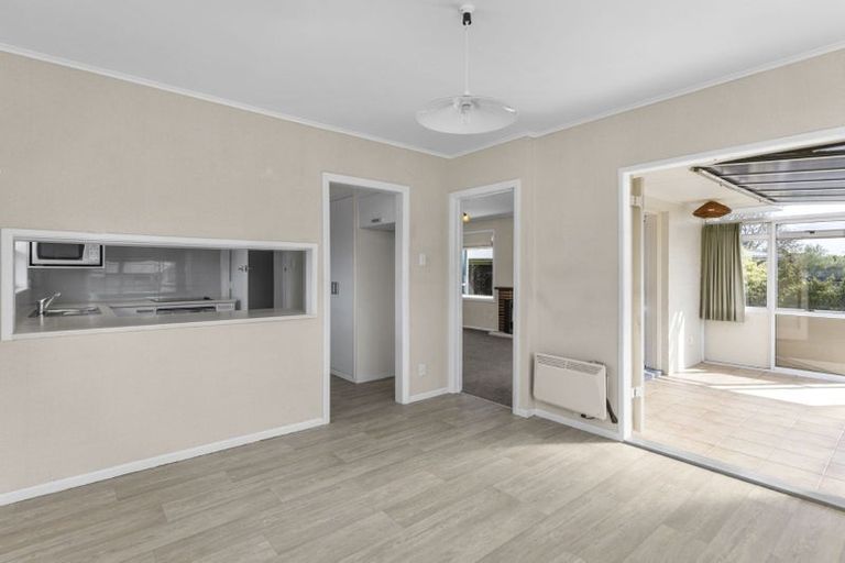 Photo of property in 19 Donny Avenue, Chartwell, Hamilton, 3210