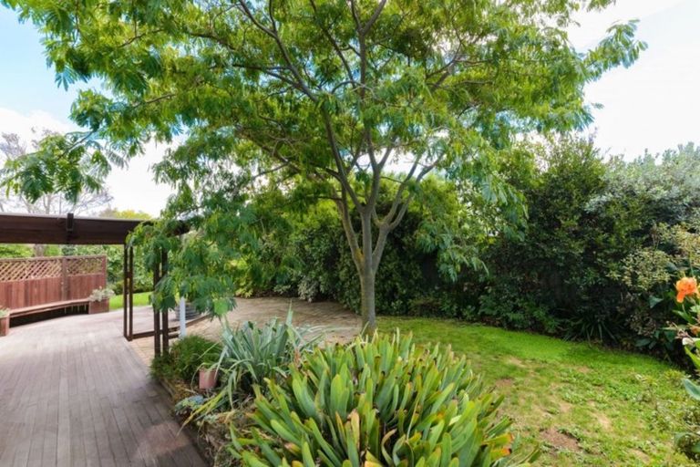 Photo of property in 17 Buick Street, Redwoodtown, Blenheim, 7201