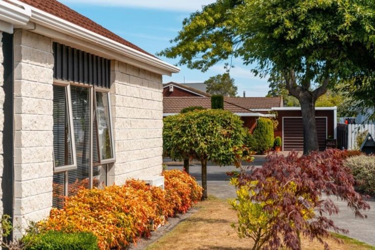 Photo of property in 2a Jordan Terrace, Lansdowne, Masterton, 5810