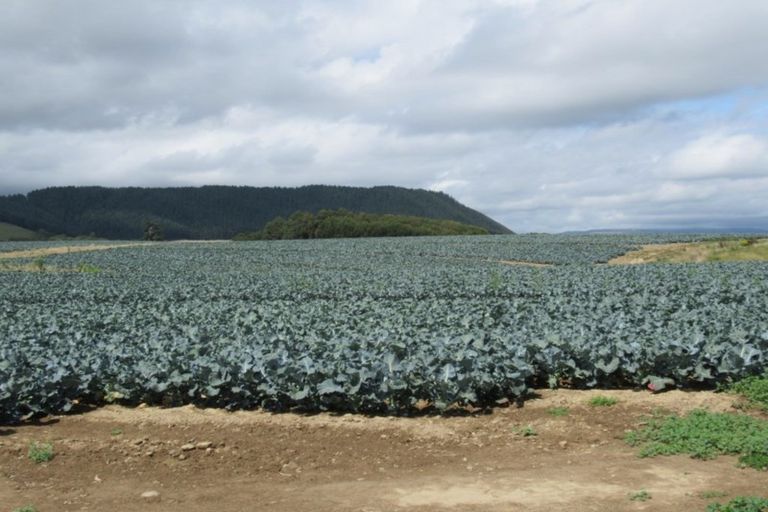 Photo of property in 1272 State Highway 1, Manakau, Otaki, 5583