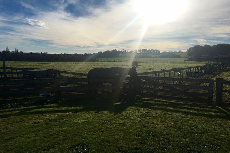 Photo of property in 390 Tuki Tuki Road, Haumoana, Hastings, 4180