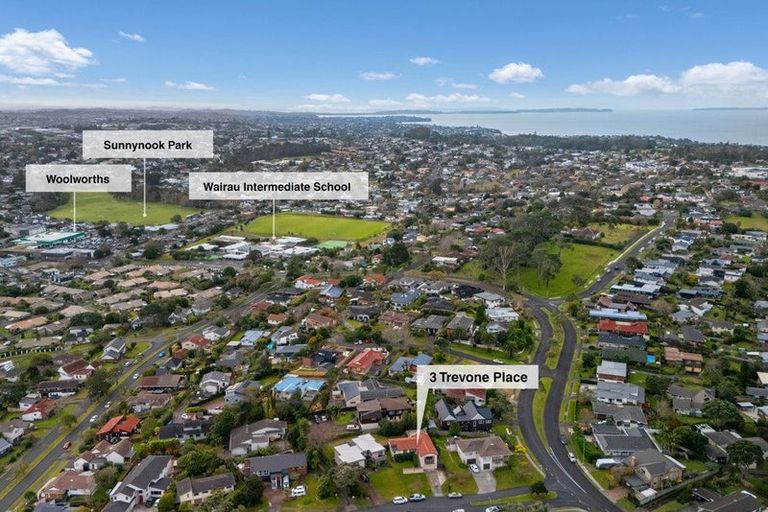 Photo of property in 3 Trevone Place, Forrest Hill, Auckland, 0620