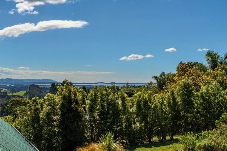 Photo of property in 430 Esdaile Road, Whakamarama, Tauranga, 3180