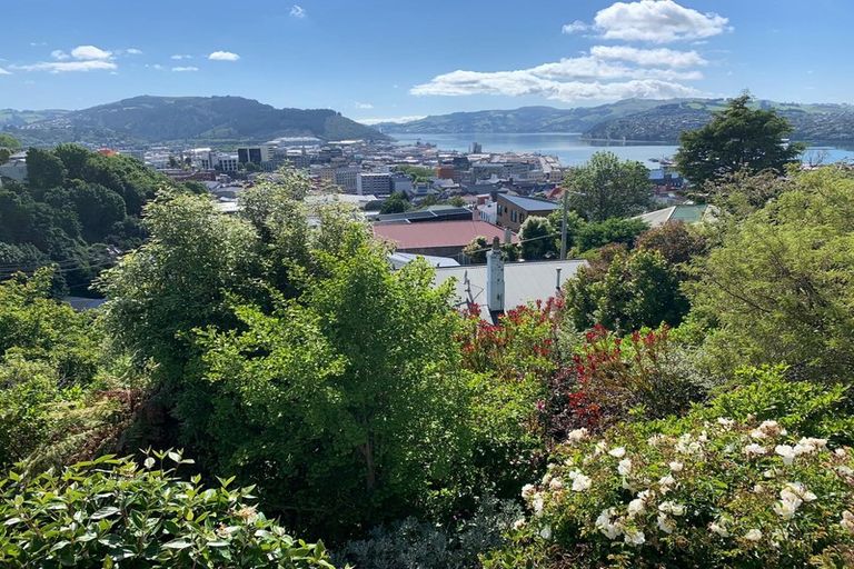 Photo of property in 59 Sutherland Street, Dunedin Central, Dunedin, 9016