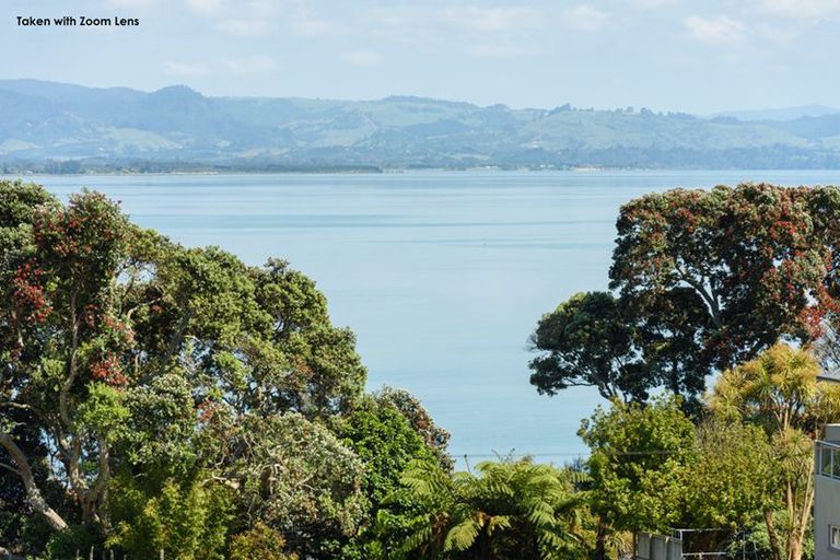 Photo of property in 17 Hamurana Road, Omokoroa, 3114