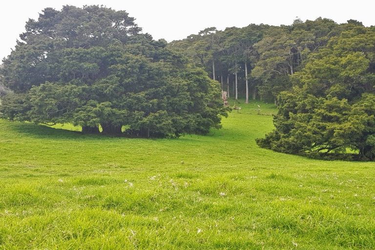 Photo of property in 504b Wairere Road, Maungaturoto, 0571