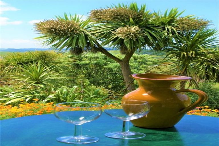 Photo of property in 703c Tinopai Road, Tinopai, Matakohe, 0593