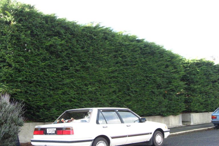 Photo of property in 2 Elliffe Place, Shiel Hill, Dunedin, 9013