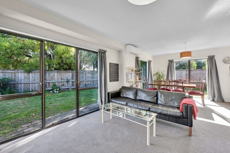 Photo of property in 3 Helena Way, The Wood, Nelson, 7010