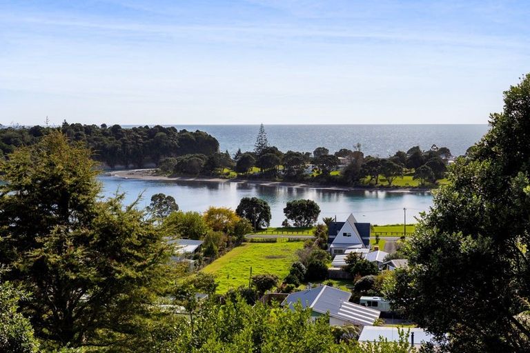 Photo of property in 42 Whakapaki Street, Urenui, 4375