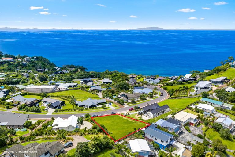 Photo of property in 46 Lax Crescent, Leigh, 0985