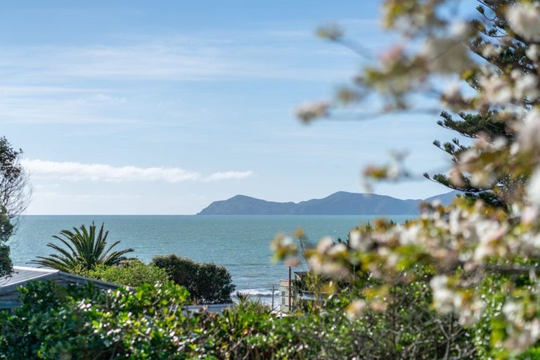 Photo of property in 121 Wellington Road, Paekakariki, 5034