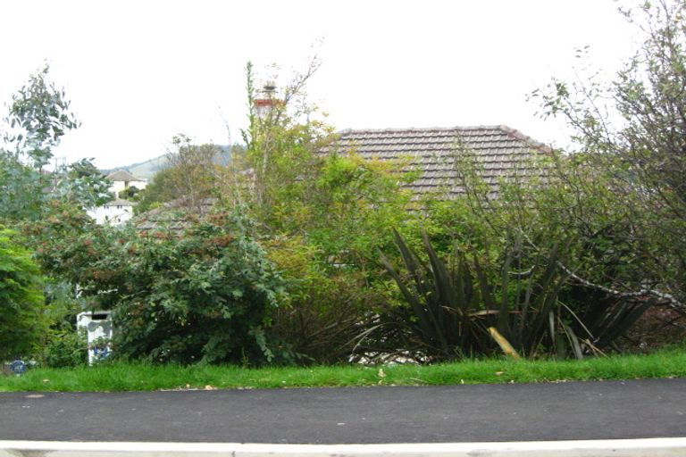 Photo of property in 8 Panmure Avenue, Calton Hill, Dunedin, 9012