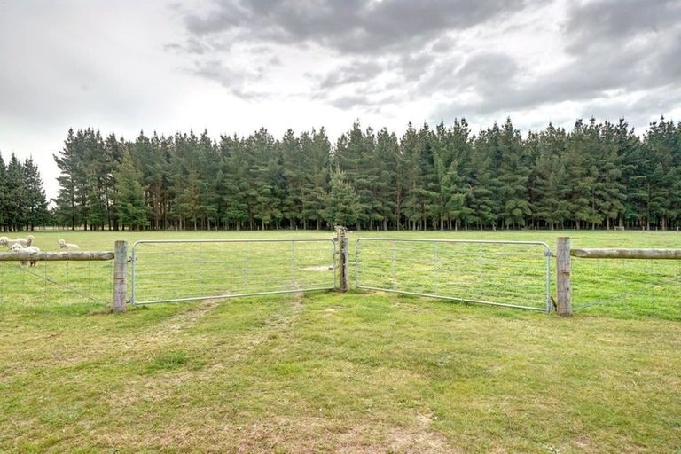 Photo of property in 286b Isaac Road, Eyrewell, Rangiora, 7476