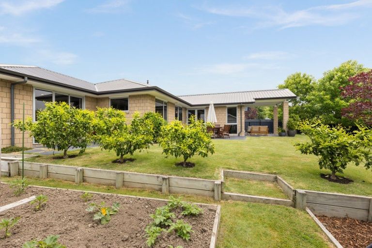 Photo of property in 17 Margaret Avenue, Havelock North, 4130