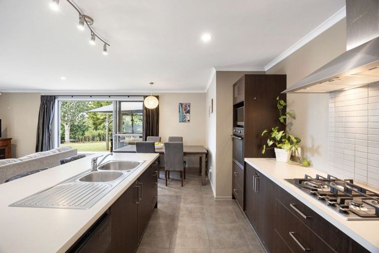 Photo of property in 22 Santiago Place, Flagstaff, Hamilton, 3210