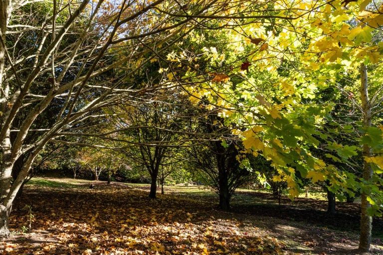 Photo of property in 12 Spur Road, Havelock North, 4130