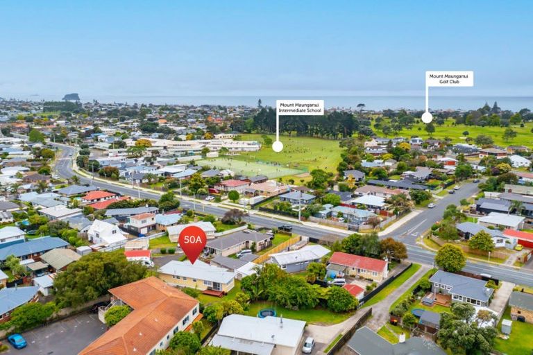 Photo of property in 50a Links Avenue, Mount Maunganui, 3116