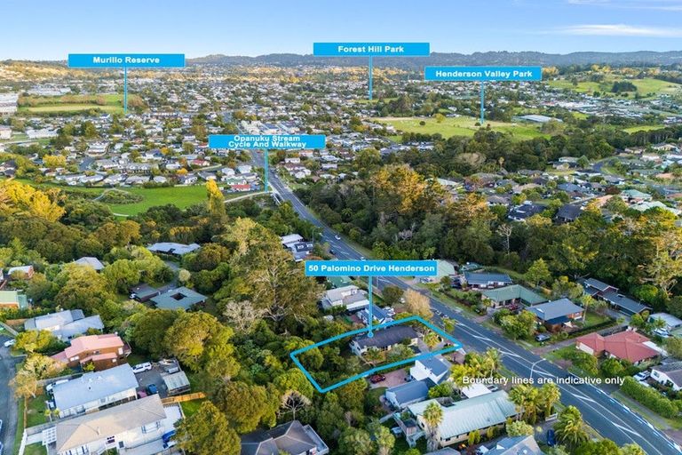Photo of property in 50 Palomino Drive, Henderson, Auckland, 0612