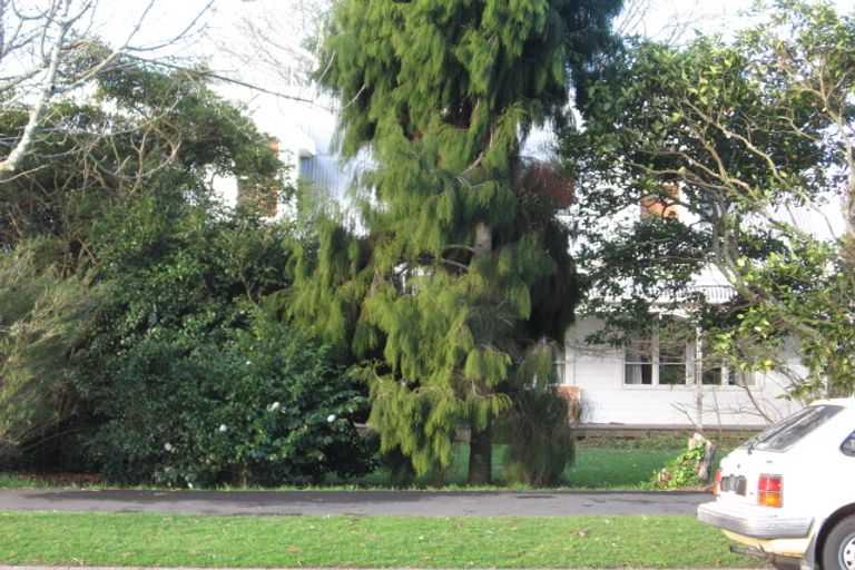 Photo of property in 184 Fox Street, Hamilton East, Hamilton, 3216