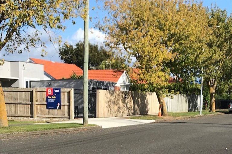 Photo of property in 38a Princes Street, Levin, 5510