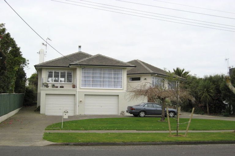 Photo of property in 3 Hobson Street, Levin, 5510
