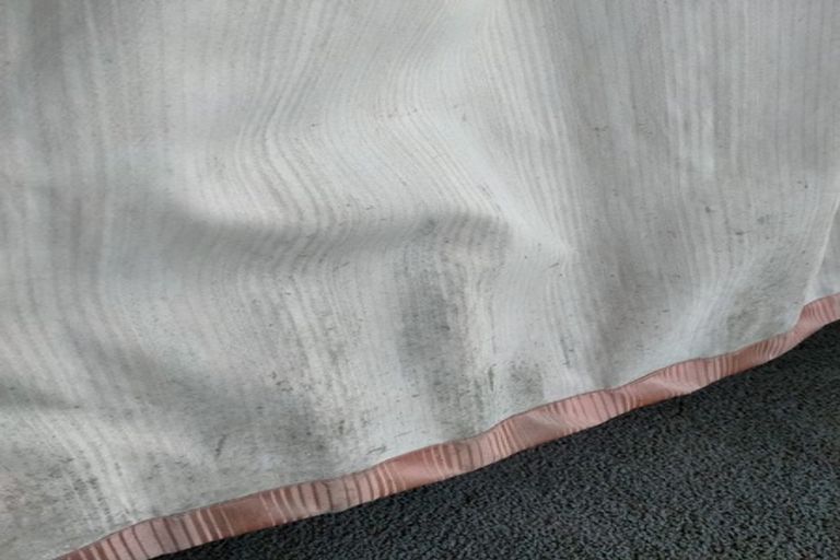 Photo of property in 8 Allandale Road, Saint Clair, Dunedin, 9012