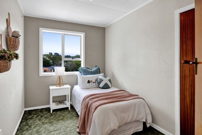 Photo of property in 117 Awanui Street, Merrilands, New Plymouth, 4312