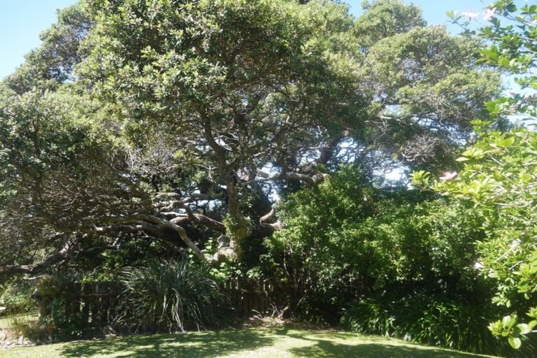 Photo of property in 868 Cove Road, Waipu, 0582