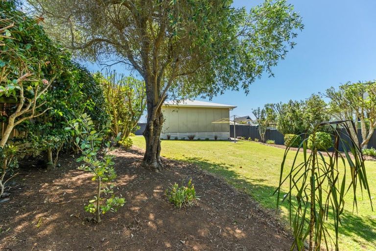 Photo of property in 43a Wallace Place, Westown, New Plymouth, 4310