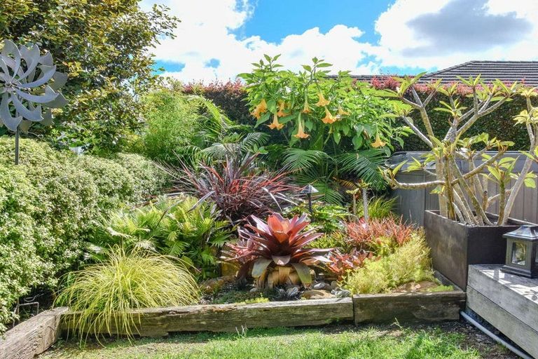 Photo of property in 4 Kuching Lane, Kerikeri, 0230